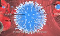 醫(yī)學(xué)醫(yī)療三維動畫制作細(xì)胞成片