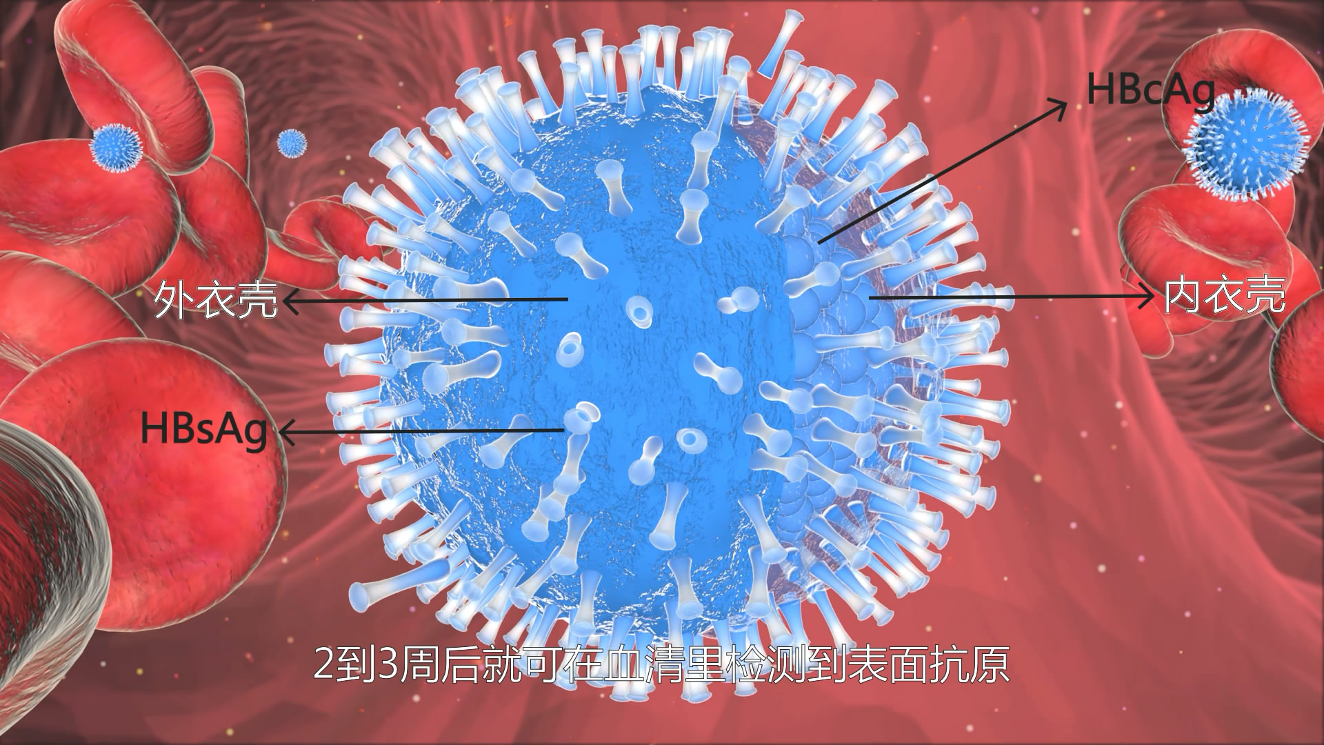 醫(yī)學(xué)三維動(dòng)畫制作圖片